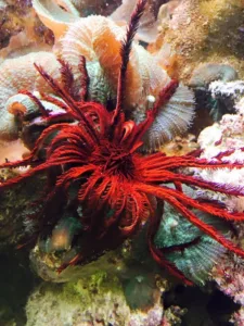 Read more about the article New year means new things!